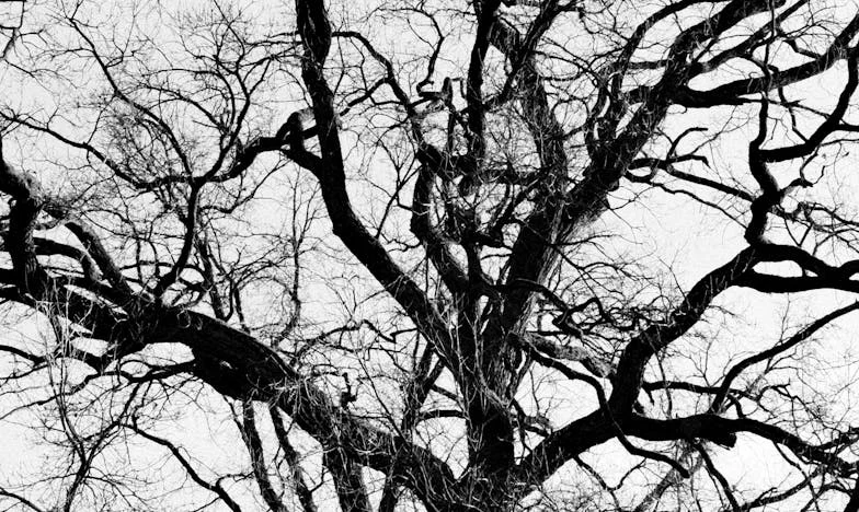 Le poids de l'amour : Quand aider devient nuire – L'histoire d'une famille française face à l'autonomie d'un enfant adulte