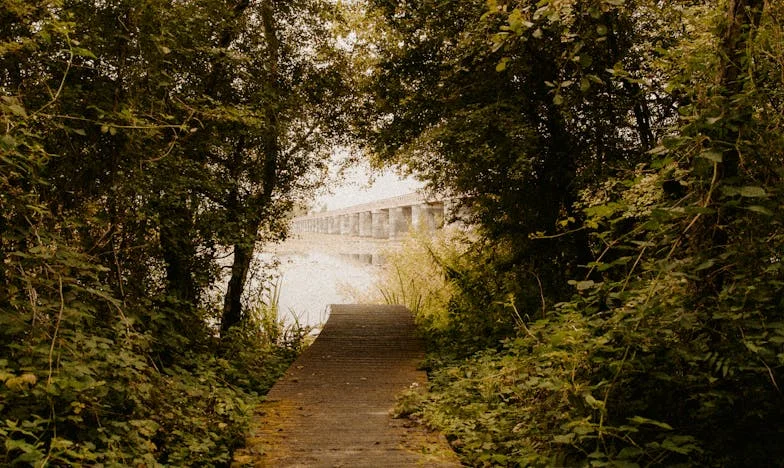 Ma fille a brisé mon amitié : Comment j'ai perdu mon amie d'enfance à jamais