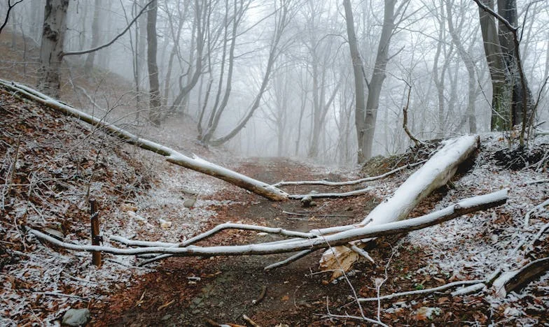 Maman nounou : Pourquoi ma mère préfère-t-elle les enfants des autres à ses propres petits-enfants ?