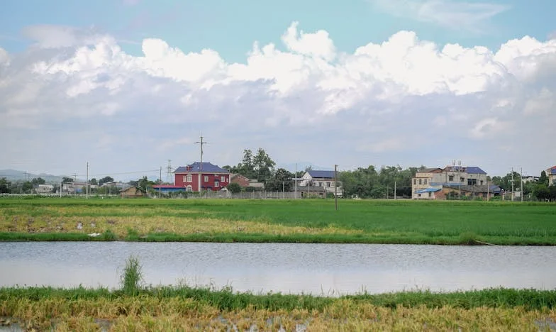 Pas encore une chambre pour ma belle-mère : La maison qui a brisé notre famille