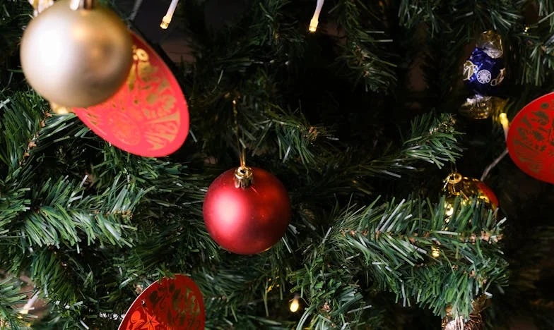 Personne n’a pu m’amener mon petit-fils ce week-end, mais une visite inattendue a tout bouleversé : L’odyssée d’un père français face à la solitude et au pardon