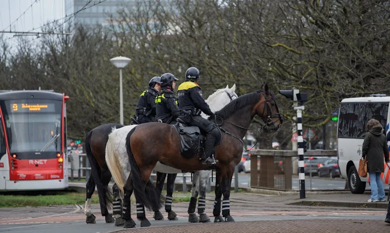 Quand la Famille Devient Étrangère : L’Histoire de Camille à Lyon
