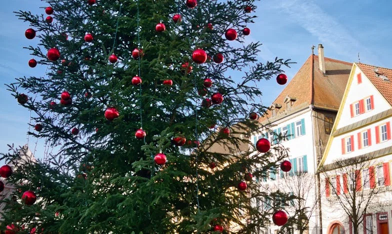 Quand la foi est mon seul refuge : ma bataille contre ma belle-mère