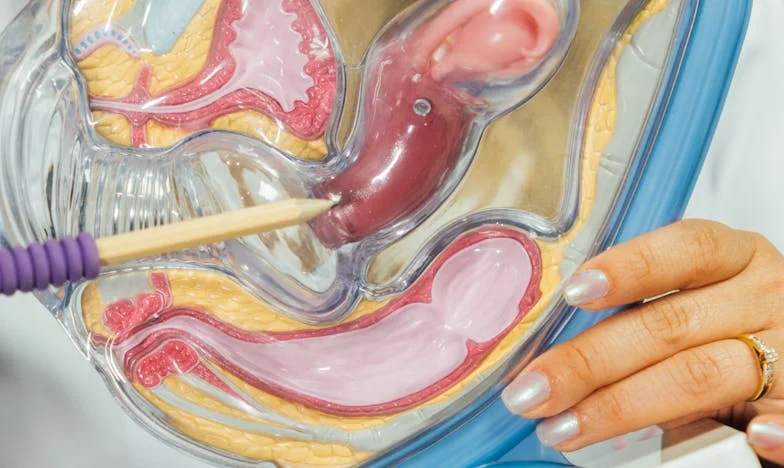 Quand la promesse devient une prison : Mon combat pour retrouver ma liberté face à ma belle-mère