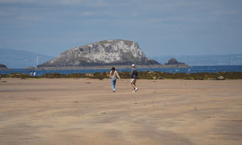 Sous la surface : Le secret de mon mari