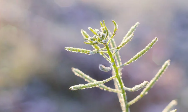 Trouver un nouveau souffle : Quand j'ai emménagé chez mon fils