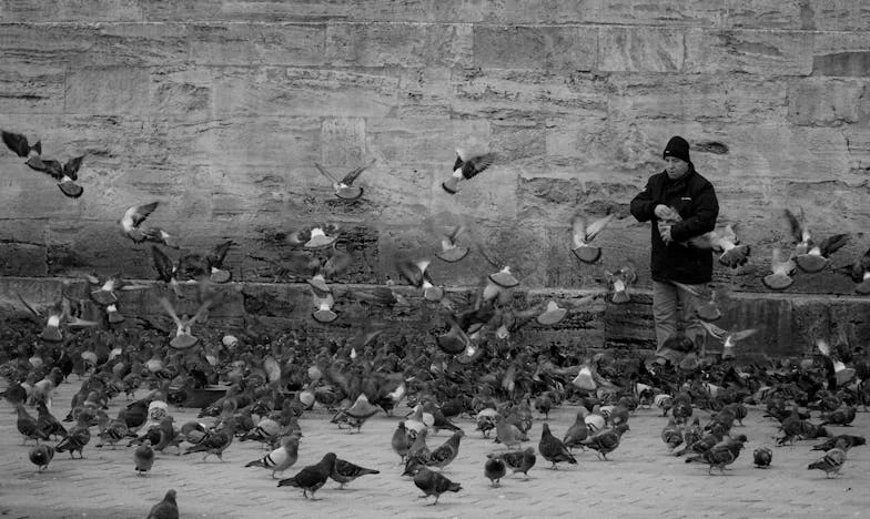 « Tu n’es pas prête à être mère, confie ton enfant à l’adoption ! » – L’histoire qui a brisé ma famille