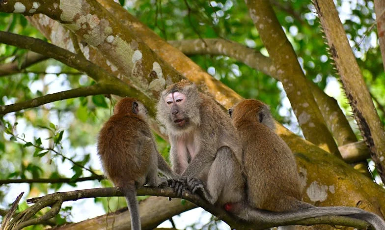Ce que je n'aurais jamais dû découvrir : Le secret de ma fille