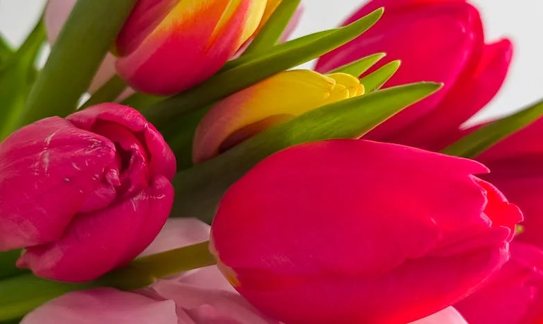 Éloignement : Quand mes filles m’échappent après le divorce