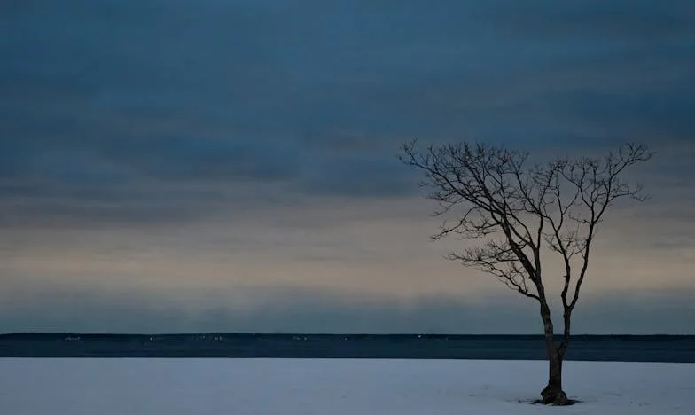 Entre le silence et la vérité : Le dilemme d'une mère française