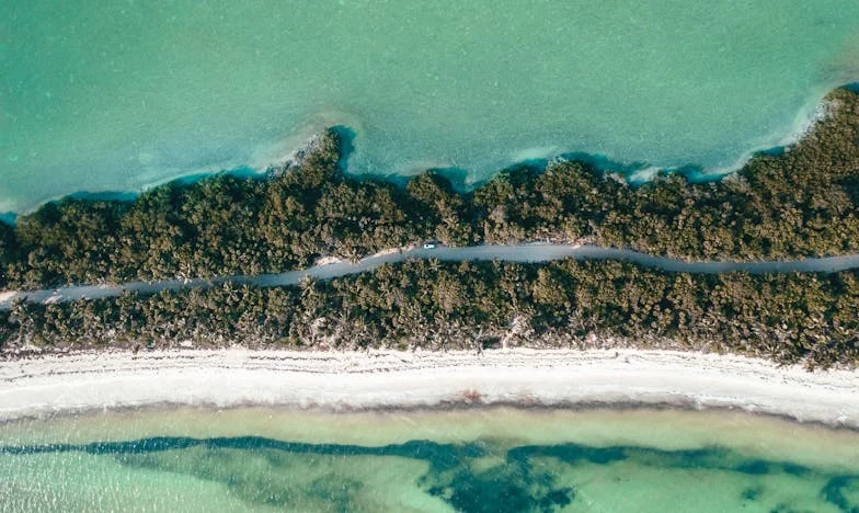 Entre Quatre Murs : Ma Lutte Pour Un Chez-Moi