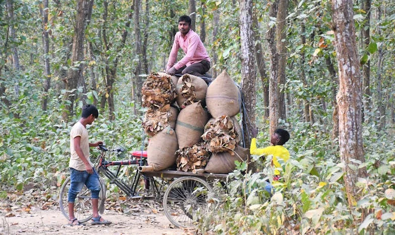 Le goût amer du bonheur : Confession d’un amour interdit