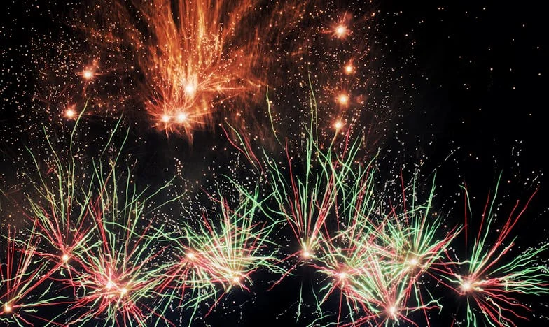 Le jardin qui a recousu nos cœurs : Histoire d’un pardon entre mère et fille