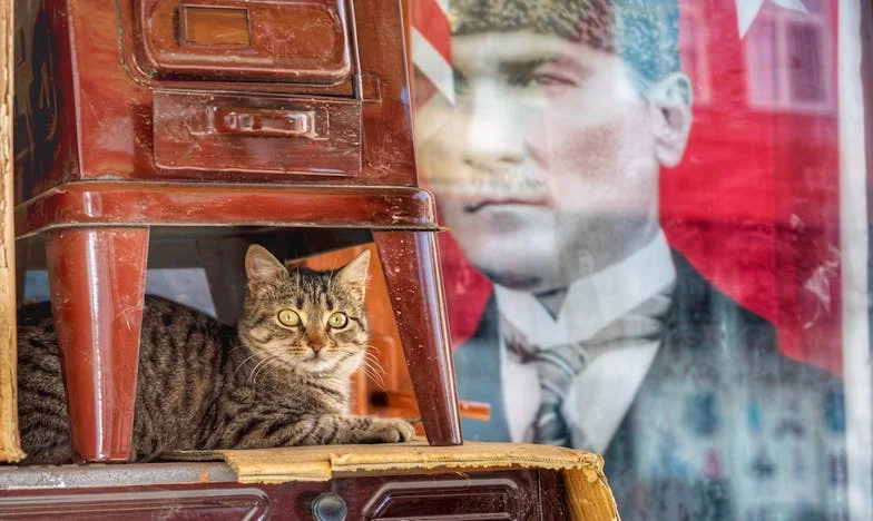 Le Message Qui a Tout Brisé : Le Jour Où Antoine Est Parti