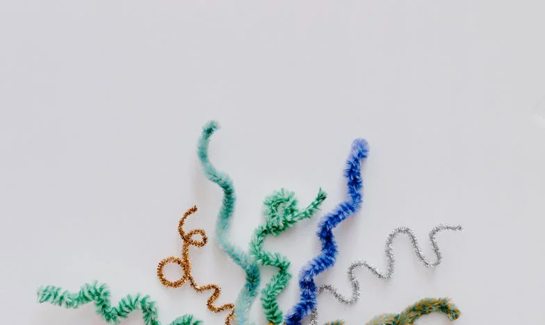 Le secret qui a brisé ma famille : Une leçon de biologie qui a tout bouleversé