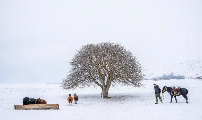 L'héritage d'une autre lignée : Le combat de Marie de Clermont-Ferrand
