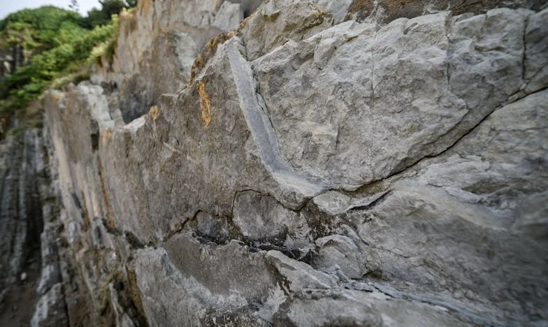 Ma fille, ses cheveux et notre famille au bord du gouffre : Jusqu'où peut-on aller au nom d'une idée ?