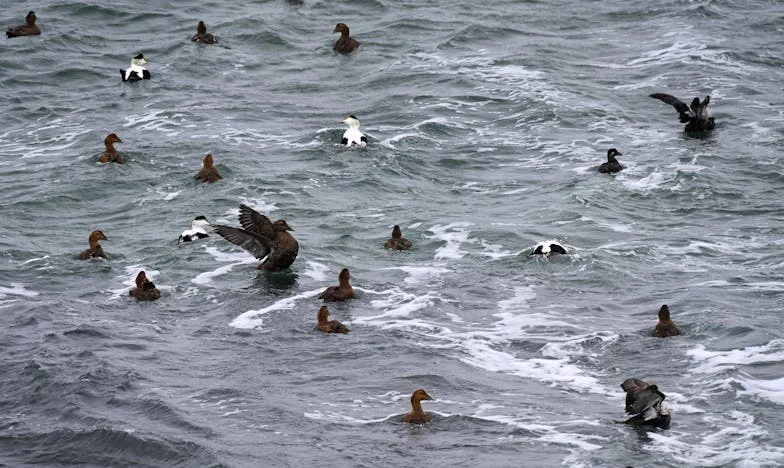 Maman, je n’en peux plus : Les clés de notre maison ne sont plus à toi