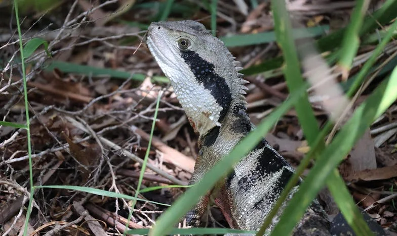 Quand l’amour frappe à la porte à 57 ans : Entre ma fille et mon bonheur