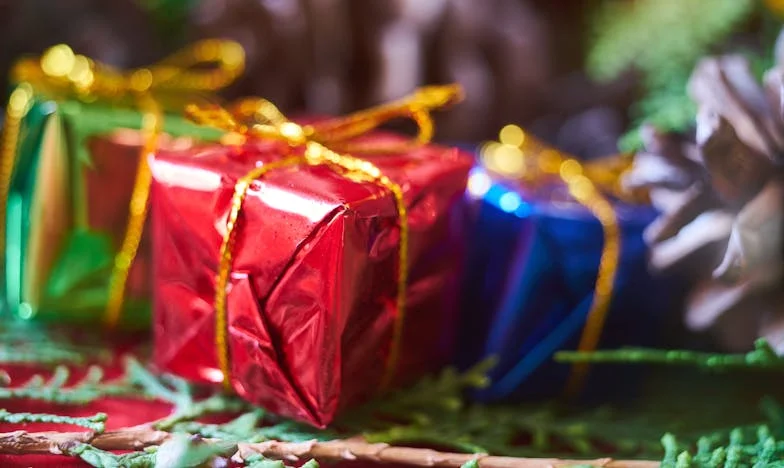 Quand le destin brise les rêves : L’histoire de Martine et Damien, un amour à l’épreuve du sort