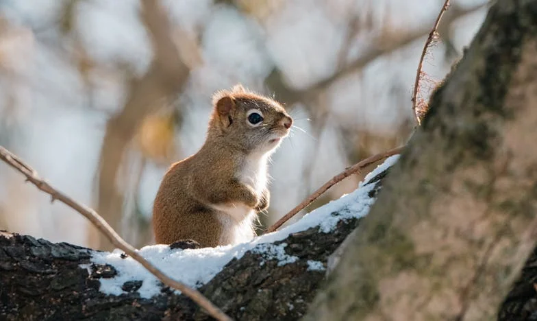 Quand le silence ne suffit plus : Histoire d’un départ