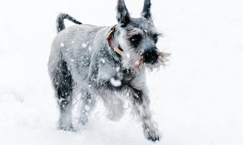 Quand nous avons défié mes beaux-parents : Le mariage qui a bouleversé ma vie