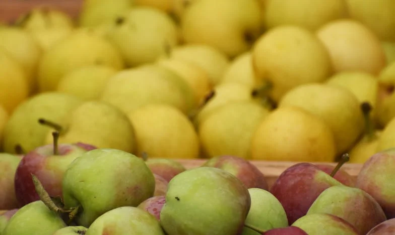 La Beauté Invisible : Le Combat de Camille