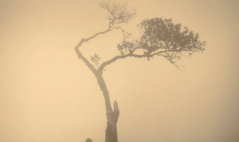 Quand le cœur ne pardonne pas : L’histoire de Claire, une mère seule à Paris
