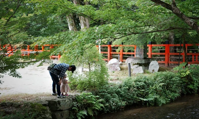 Entre deux foyers : Quand ma belle-mère décide de notre vie