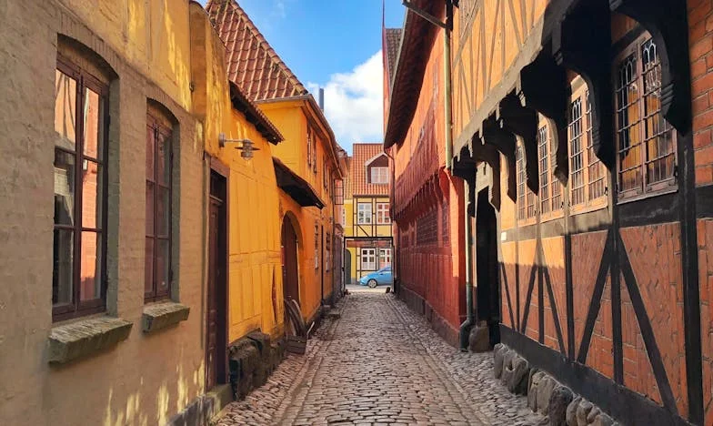 Mamie contre la Caissière : Comment la vengeance s’est transformée en amitié inattendue