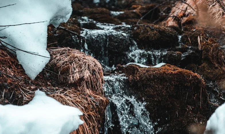 Quand chez soi n’est plus chez soi : Mon combat pour ma famille et moi-même