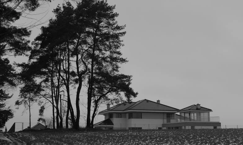 Quand Maman a appelé : « Ils arrivent ! » – Une visite qui a tout changé