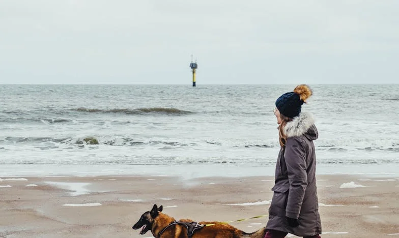 Quand la fierté s'effondre : Un vendredi soir à Lyon