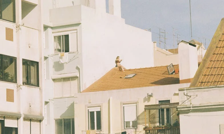 « Si ce n’était pas moi, tu crèverais de faim ! » – Un an plus tard, je dirigeais son entreprise. L’histoire d’Anne de Lyon