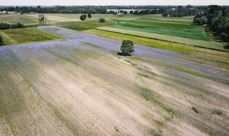 Prière sous l’orage : Un dimanche en famille qui a tout bouleversé