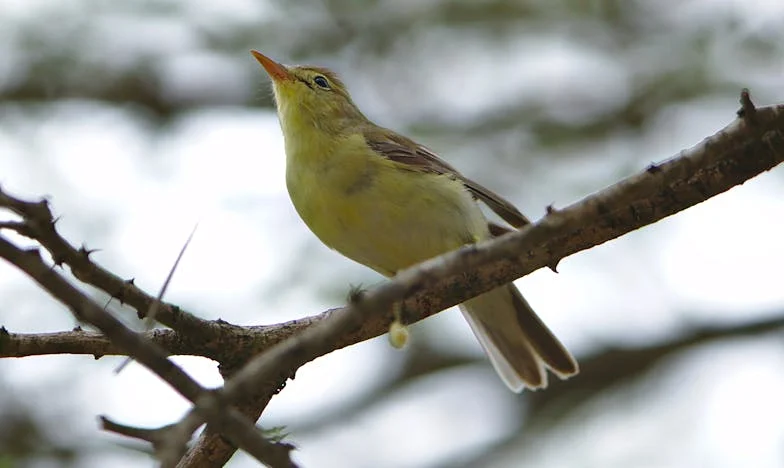 A családunk majdnem tönkretett minket: Hogyan álltunk végre a sarkunkra és találtuk meg a boldogságot