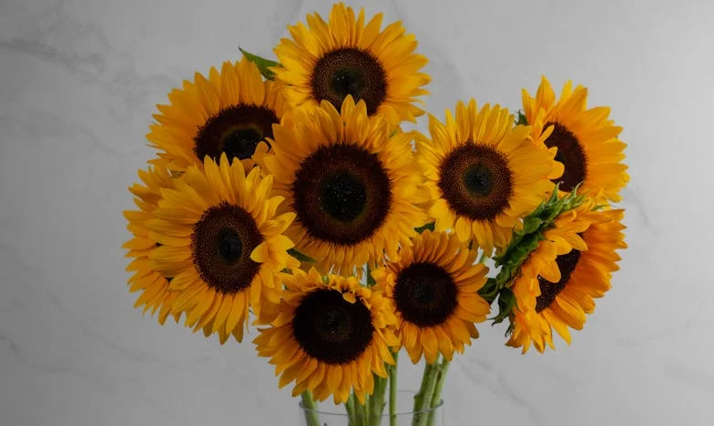 A csend hangja: Hogyan veszítettem el a családomat a gépek között – és hogyan találtam rá újra a szívemre