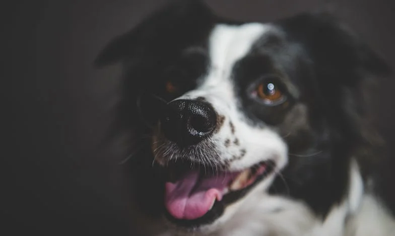Amikor a múlt bekopog: Egy eltűnt lány titka és egy család próbája – Vajon képesek vagyunk megbocsátani?
