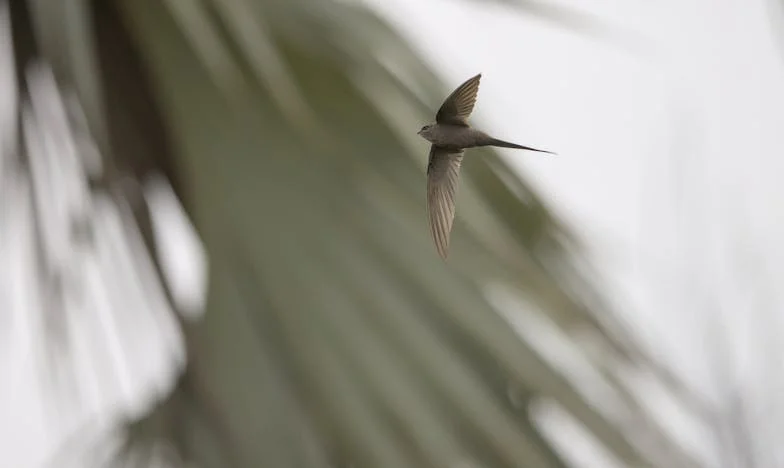 „Anya, hívhatom a nagymamát anyának?” – Egy anya vallomása a családi szerepek harcáról