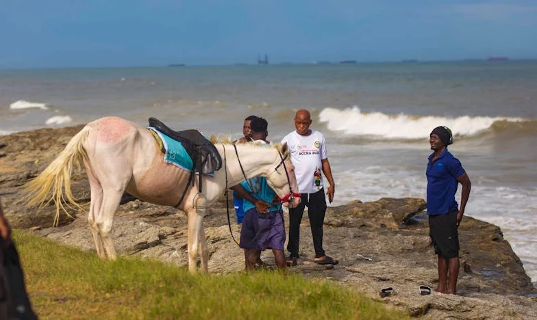 „Anyu, én ezt nem bírom tovább!” – Amikor a fiam feladta a biztosat az álmaiért, és én csak néztem döbbenten