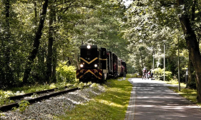 Az első fizetésem titka: Egy elhallgatott igazság, ami 62 év után derült ki