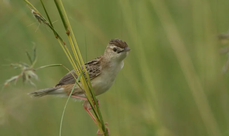 „Azt hittem, újra boldog lehetek – de a párom gyerekei mindent tönkretettek?”