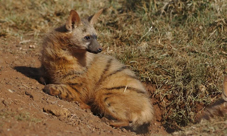 „Azt mondta az új kolléganő, hogy a feleségem nem becsül meg… Aztán sétára hívott munka után” – Egy férfi vallomása a hűség, magány és döntés határán