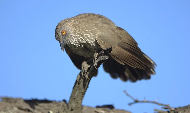 Egész életemben segítettem a legjobb barátnőmnek – amikor nekem volt szükségem rá, kiderült, hogy évek óta meglopott