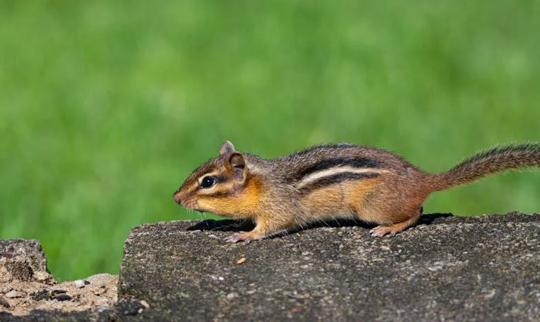 Egy kattintásnyi szerelem: Az online ismerkedésből házasság, majd könnyek lettek – Vajon tényleg létezik virtuális boldogság?