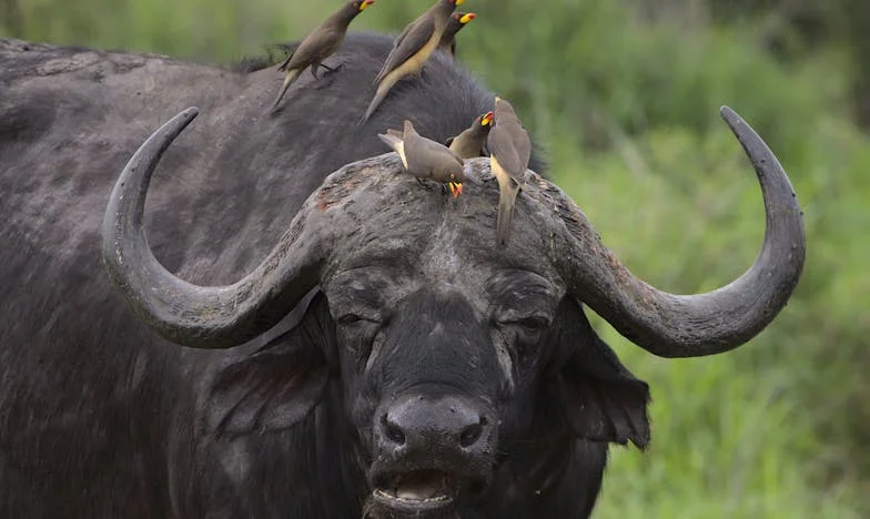 Elveszett szerelem, megtalált önmagam – Egy budapesti nő vallomása a határokról és önbecsülésről