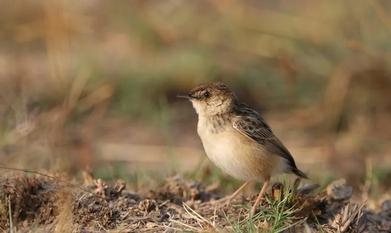 „Hetvenévesen végre magamért akarok élni – de lehet még újrakezdeni ennyi idősen?”
