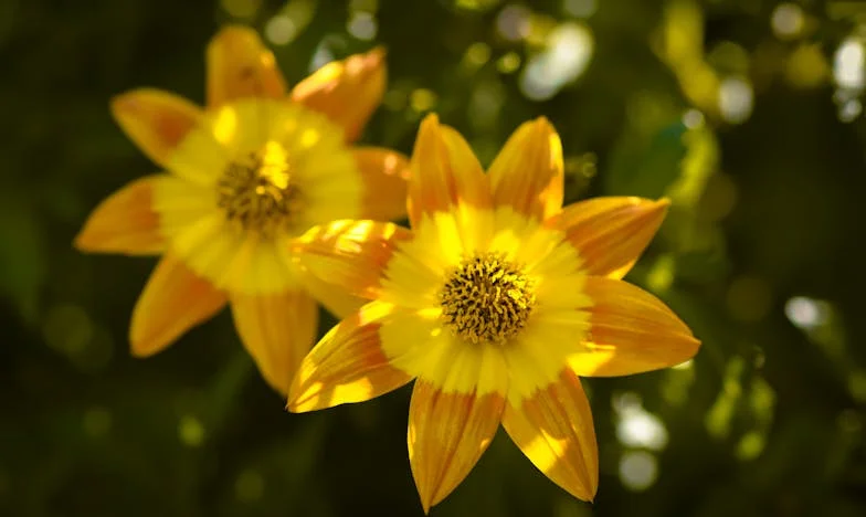 Két kisbaba, egy titok: Az anyaságom árnyékában rejtőző múlt