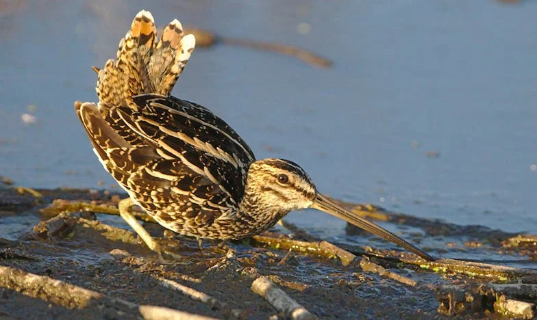 Menyem Anyját Kellett Ápolnom: Öt Év, Amely Mindent Megváltoztatott