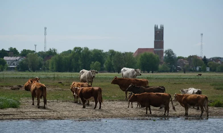 „Nem akarom, hogy elgyere az esküvőmre” – Egy magyar anya szívszorító vallomása a lányával való szakításról